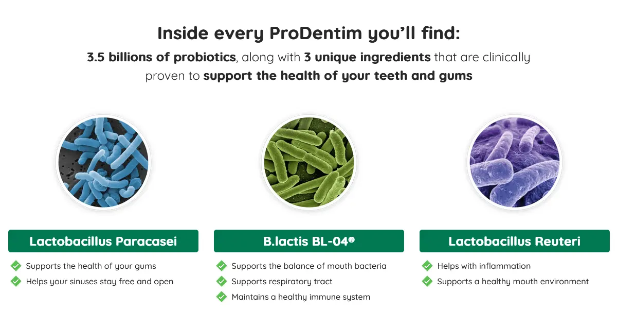 prodentim ingredients